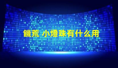 饑荒 小燈珠有什么用